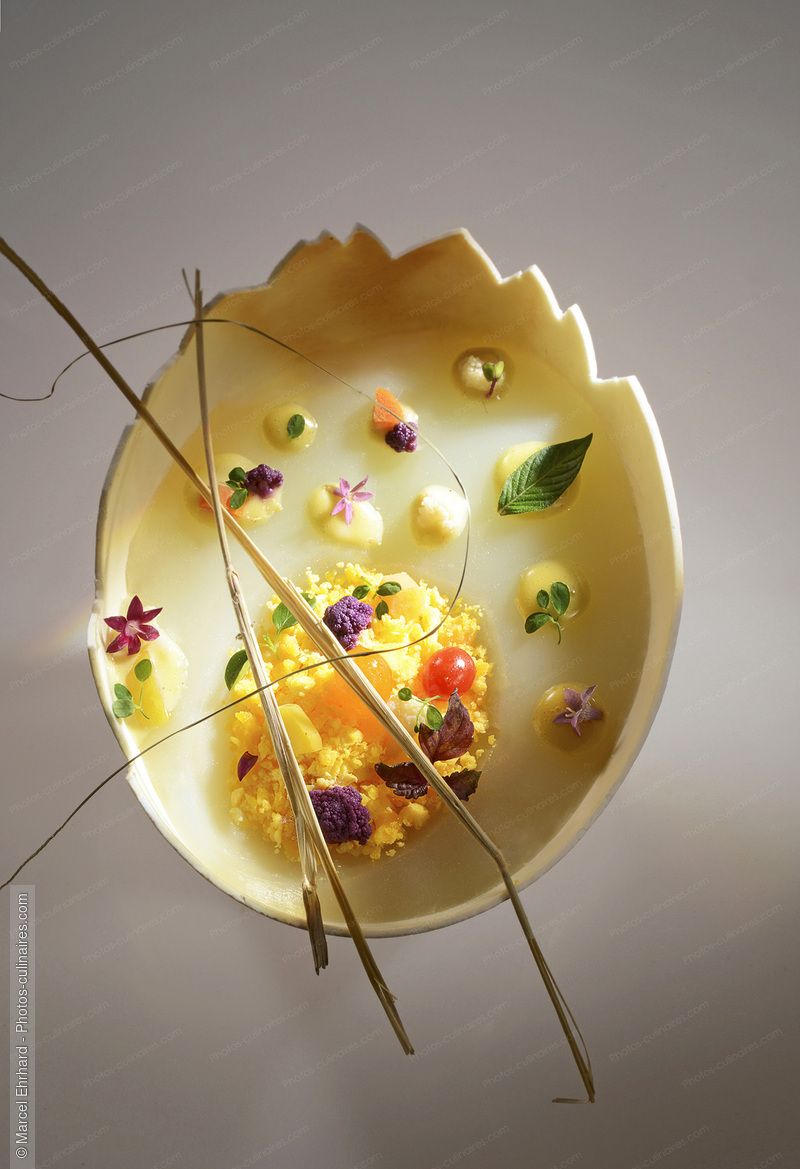 Oeuf d'autruche mimosa - photo r&eacute;f&eacute;rence OE44N.jpg