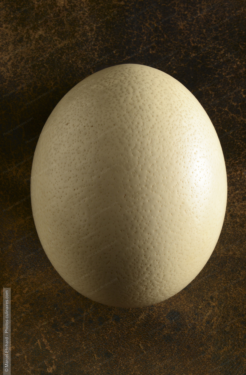 Oeuf d'autruche - photo r&eacute;f&eacute;rence OE42N.jpg