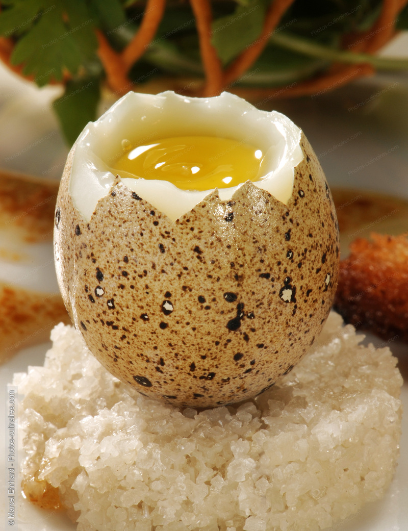Oeuf de caille - photo r&eacute;f&eacute;rence 0E23N.jpg