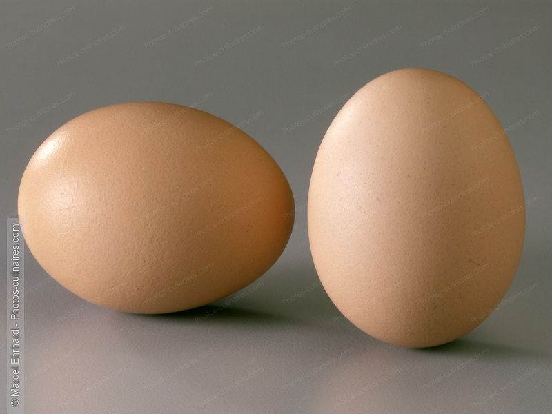 Oeufs avec coquille - photo r&eacute;f&eacute;rence FR79.jpg