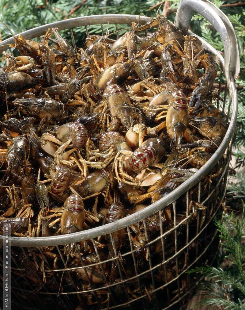 Panier d'&eacute;crevisses - photo r&eacute;f&eacute;rence PO205.jpg