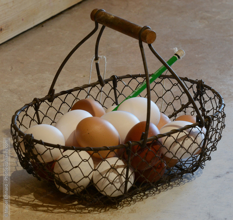 Panier d'oeufs - photo r&eacute;f&eacute;rence OE46N.jpg