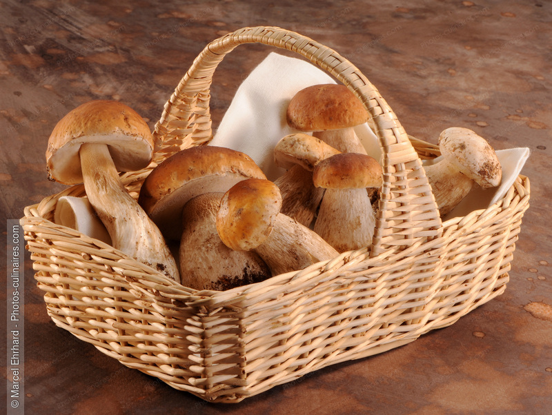 Panier de ceps - photo r&eacute;f&eacute;rence LE492N.jpg