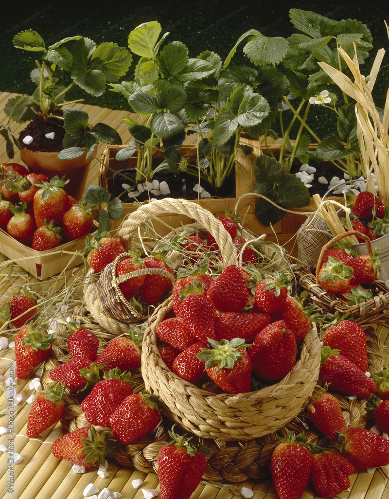 Panier de fraises - photo r&eacute;f&eacute;rence FRU178.jpg