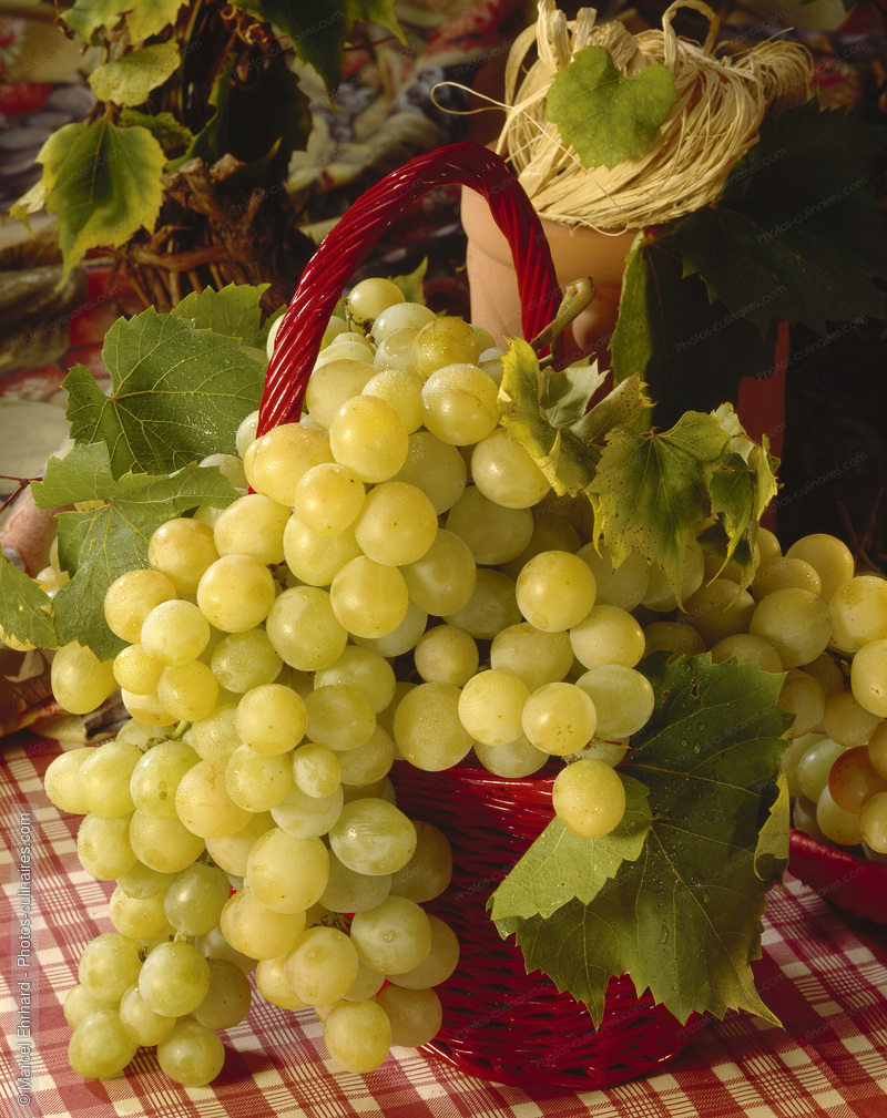 Panier de raisins - photo r&eacute;f&eacute;rence FRU176.jpg