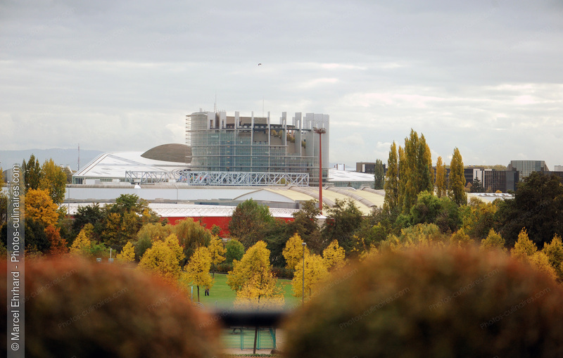 Parlement Europ&eacute;en de Strasbourg - photo r&eacute;f&eacute;rence VIN16N.jpg