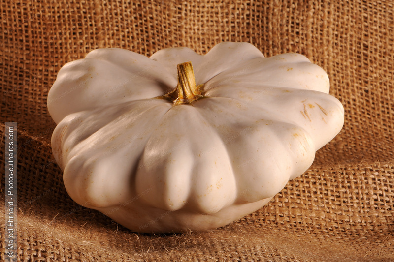 P&acirc;tisson blanc - photo r&eacute;f&eacute;rence LE324N.jpg