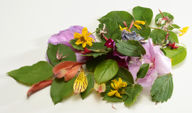 Pétales de fleurs