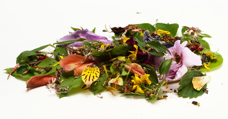 P&eacute;tales de fleurs - photo r&eacute;f&eacute;rence LE658N.jpg