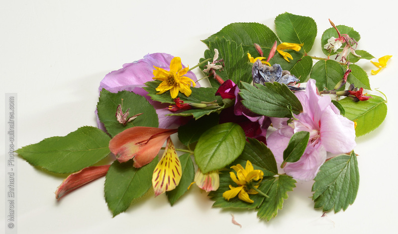 P&eacute;tales de fleurs - photo r&eacute;f&eacute;rence LE659N.jpg