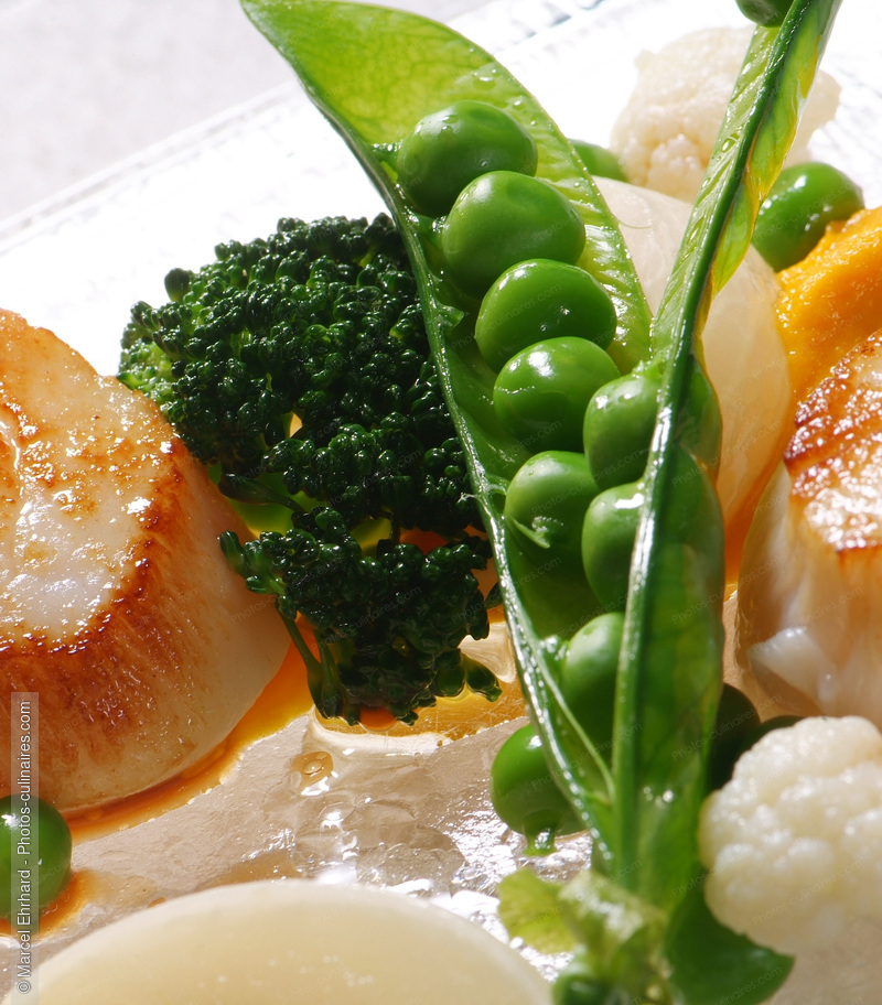Petit pois sur coquilles saint Jacques - photo r&eacute;f&eacute;rence LE219N.jpg