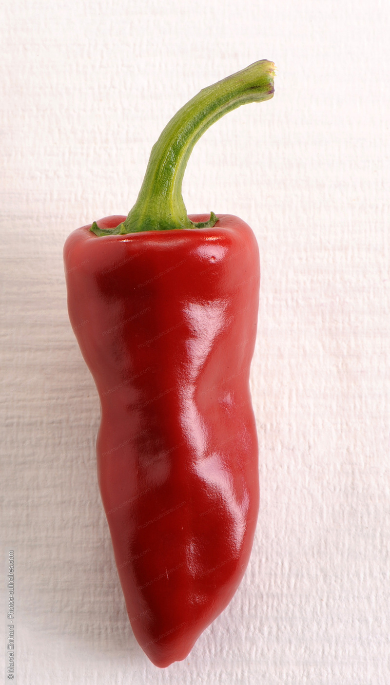 Piment d'espelette - photo r&eacute;f&eacute;rence LE345N.jpg