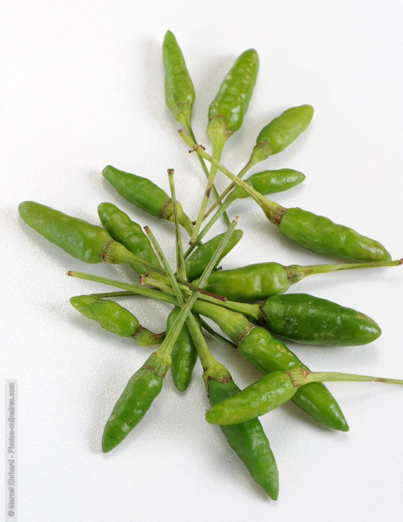 Piments verts - photo r&eacute;f&eacute;rence LE415N.jpg