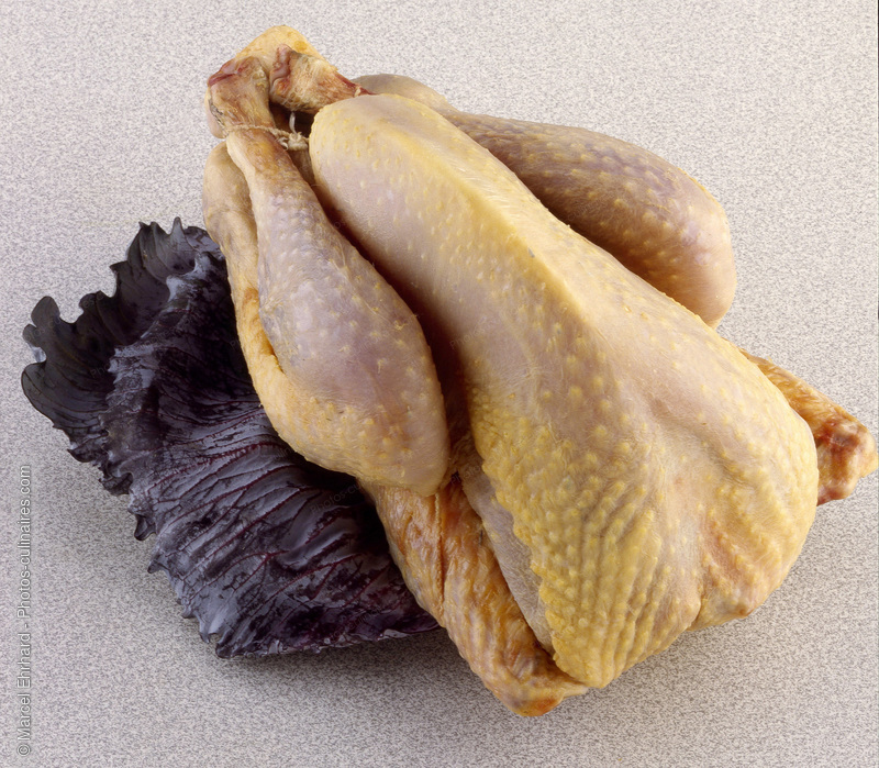 Pintade cru - photo r&eacute;f&eacute;rence VC73.jpg