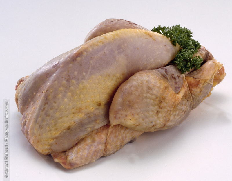 Pintade fermi&egrave;re cru - photo r&eacute;f&eacute;rence VC72.jpg