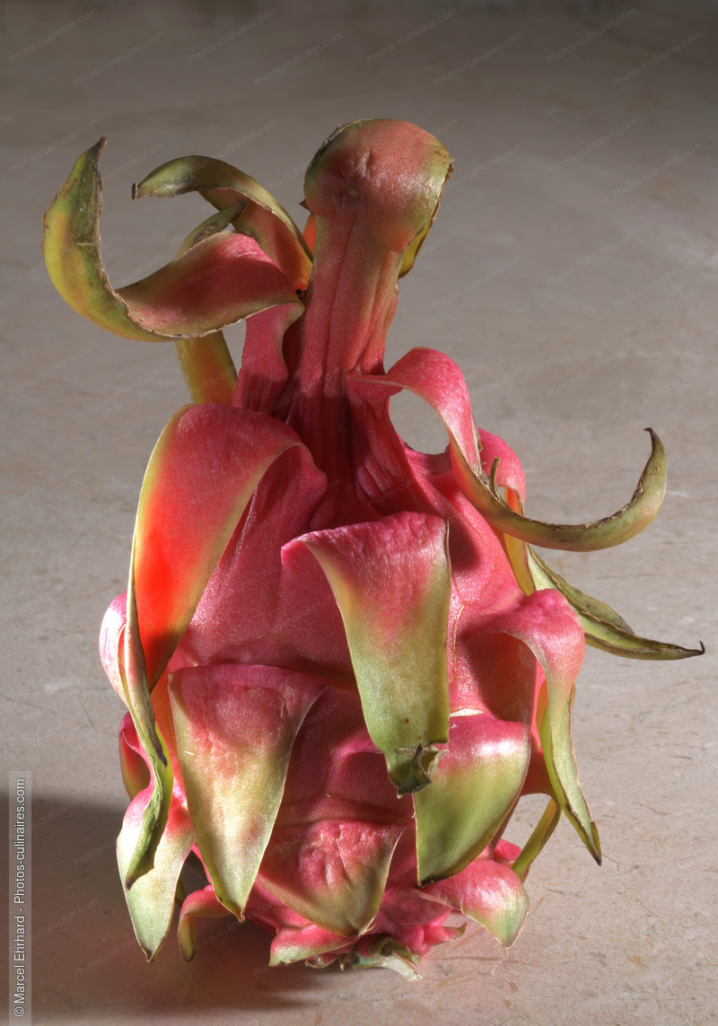 Pitaya - photo r&eacute;f&eacute;rence FRU361N.jpg