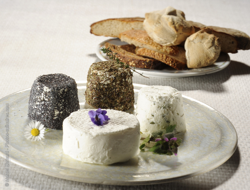 Plateau de fromage  de ch&egrave;vres - photo r&eacute;f&eacute;rence FR352N.jpg