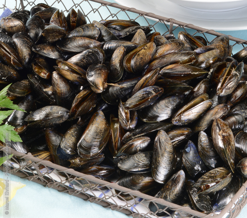 Plateau de moules crus - photo r&eacute;f&eacute;rence PO686N.jpg