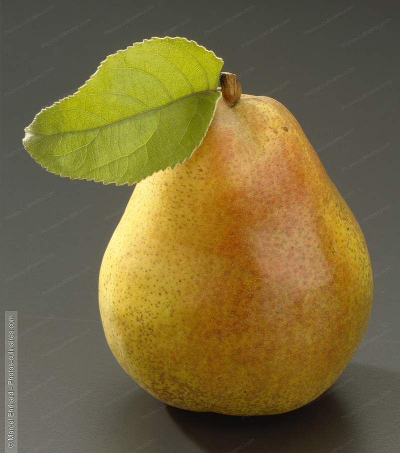 Poire williams - photo r&eacute;f&eacute;rence FRU258.jpg