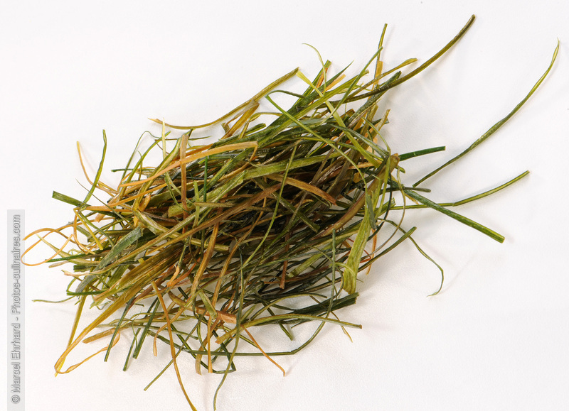 Poireau frit - photo r&eacute;f&eacute;rence LE380N.jpg