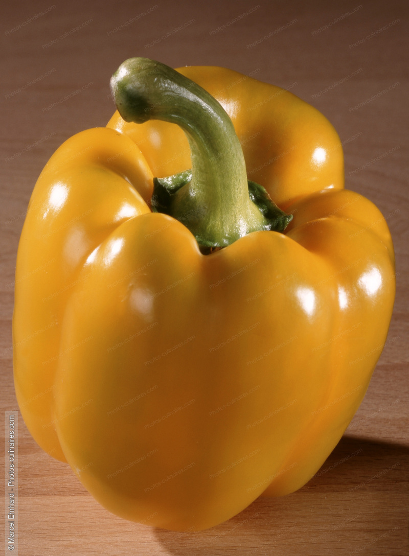 Poivron jaune - photo r&eacute;f&eacute;rence LE23.jpg