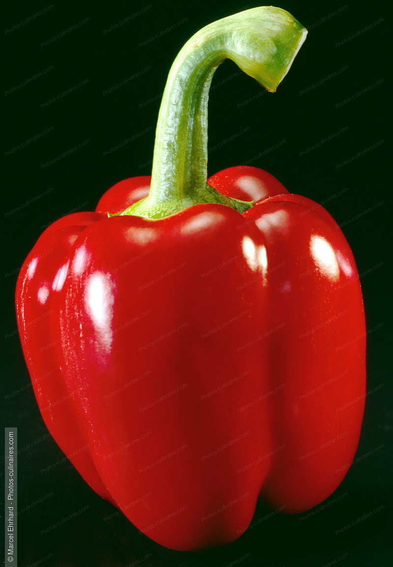 Poivron rouge - photo r&eacute;f&eacute;rence LE16.jpg