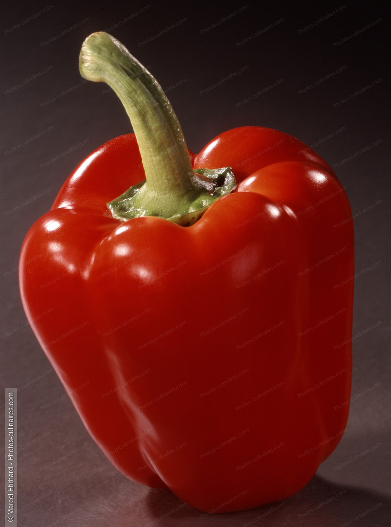 Poivron rouge - photo r&eacute;f&eacute;rence LE17.jpg