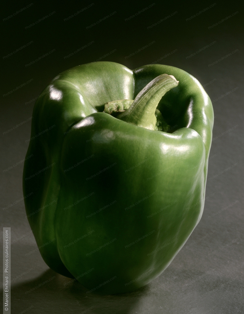 Poivron vert - photo r&eacute;f&eacute;rence LE19.jpg