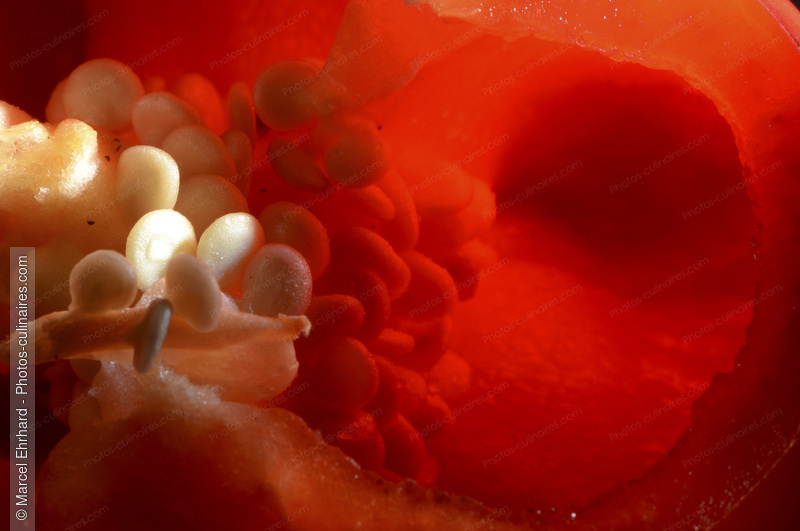 Poivrron rouge - photo r&eacute;f&eacute;rence LE598N.jpg