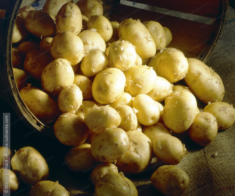 Pomme de terre de Noirmoutier - photo r&eacute;f&eacute;rence LE104.jpg