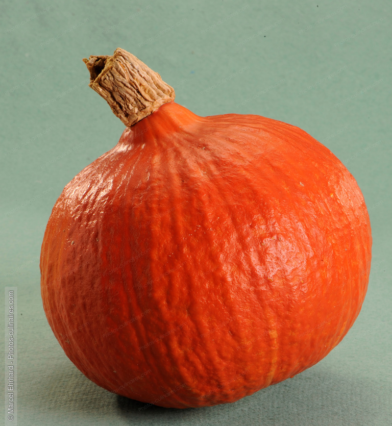 Potimarron - photo r&eacute;f&eacute;rence LE320N.jpg