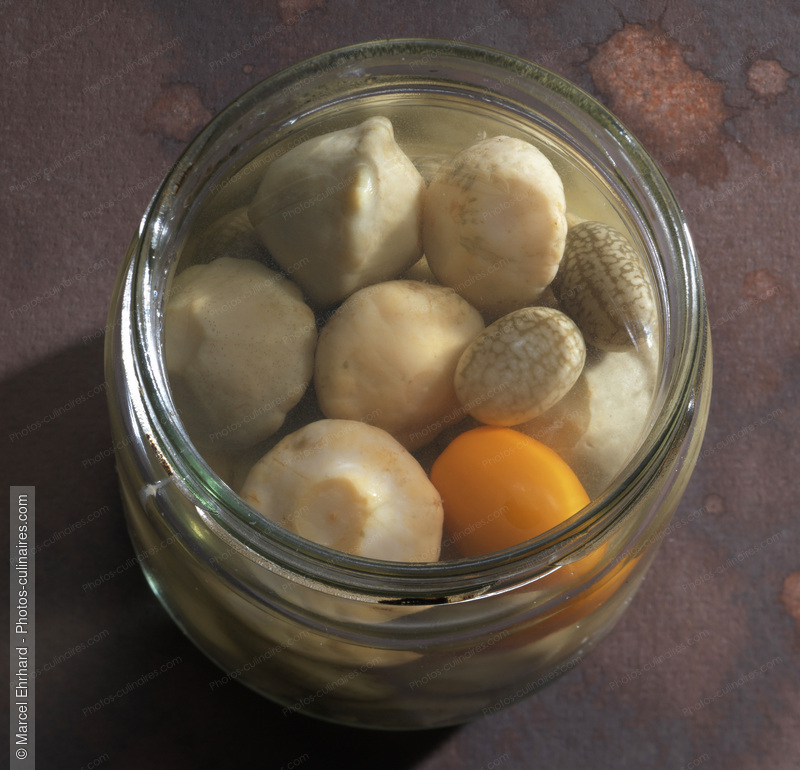 Potimarrons au vinaigre - photo r&eacute;f&eacute;rence LE653N.jpg