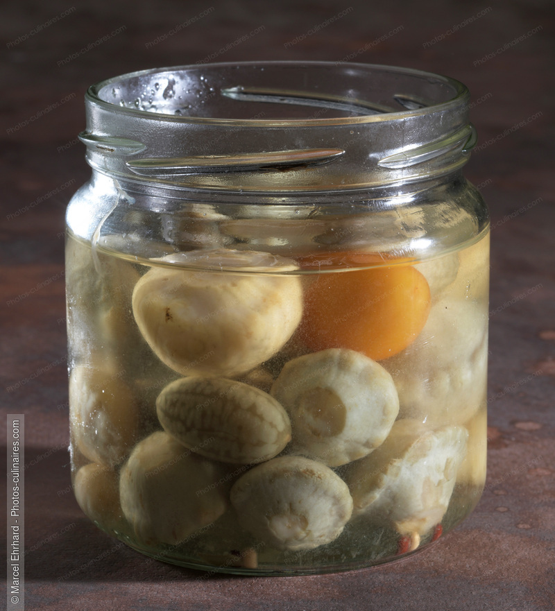 Potimarrons au vinaigre - photo r&eacute;f&eacute;rence LE654N.jpg