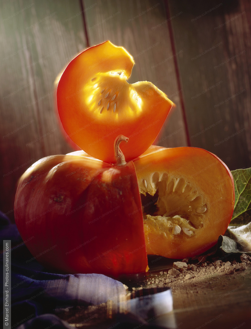 Potiron orange - photo r&eacute;f&eacute;rence LE247.jpg
