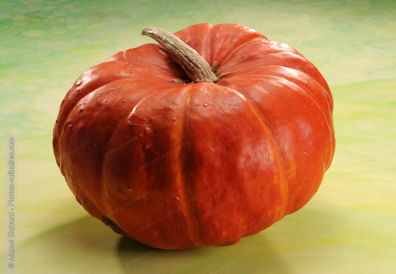 Potiron orange - photo r&eacute;f&eacute;rence LE351N.jpg