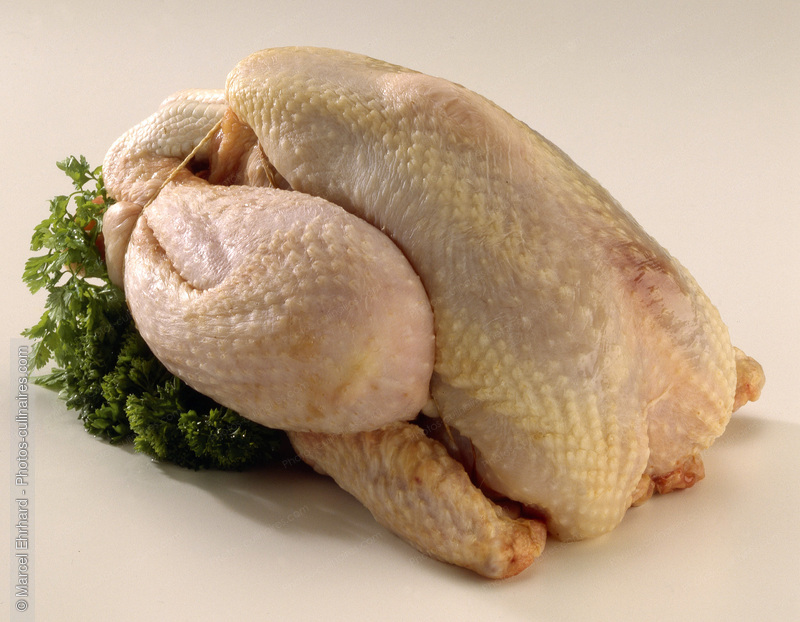 Poule crue - photo r&eacute;f&eacute;rence VC76.jpg