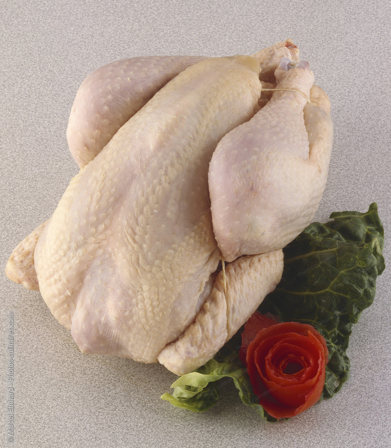 Pouler cru fermier - photo r&eacute;f&eacute;rence VC81.jpg