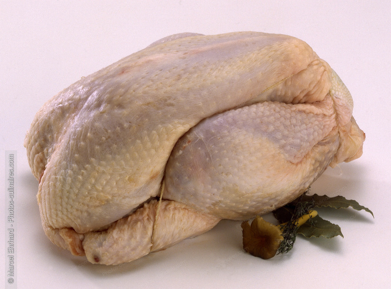 Poulet cru ficel&eacute; - photo r&eacute;f&eacute;rence VC78.jpg