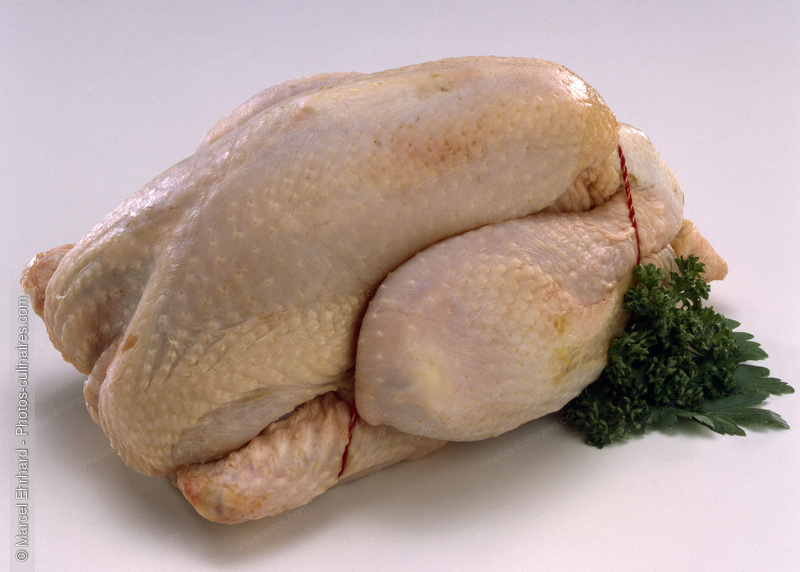 Poulet cru - photo r&eacute;f&eacute;rence VC77.jpg