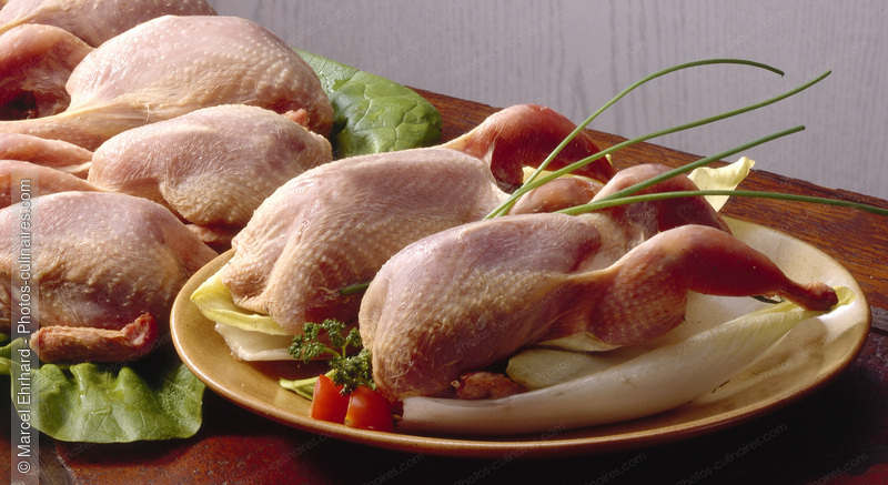 Poussins crus - photo r&eacute;f&eacute;rence VC159.jpg