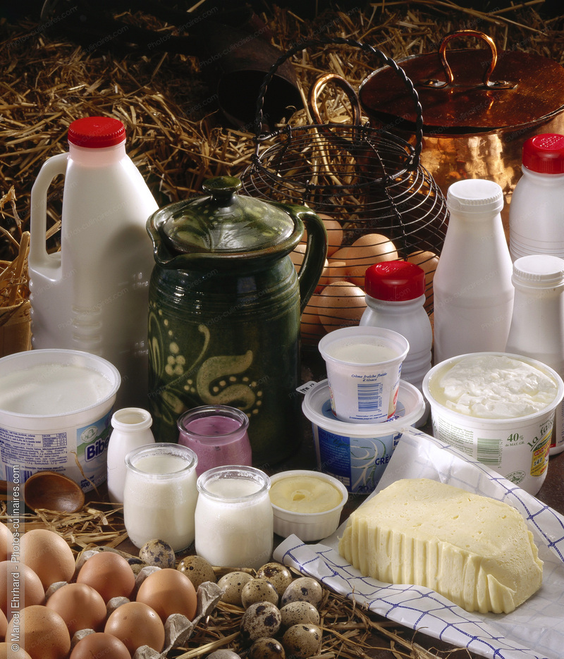 Produits laitiers - photo r&eacute;f&eacute;rence FR147.jpg