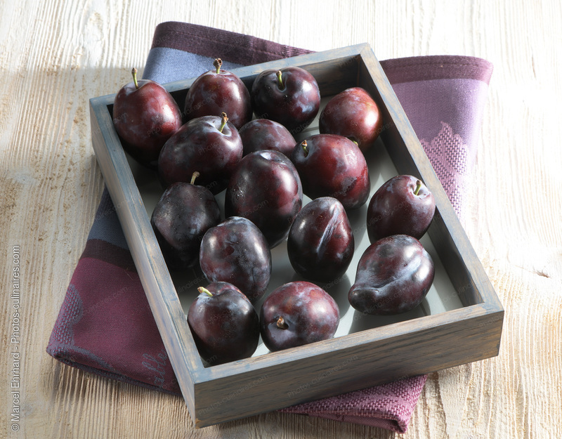 Prunes - photo r&eacute;f&eacute;rence FRU356N.jpg