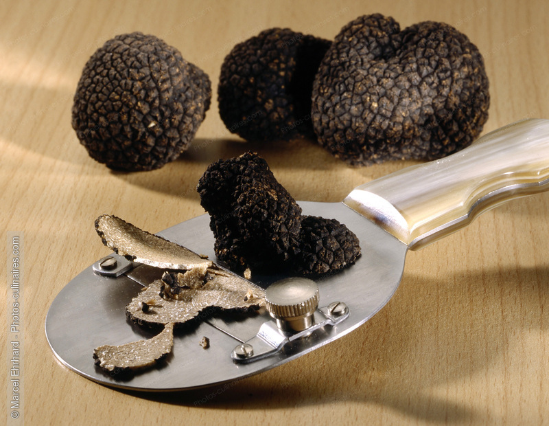 Rape &agrave; truffe - photo r&eacute;f&eacute;rence LE498.jpg