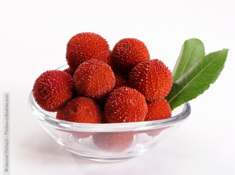 Red bayberries - photo r&eacute;f&eacute;rence FRU297N.jpg