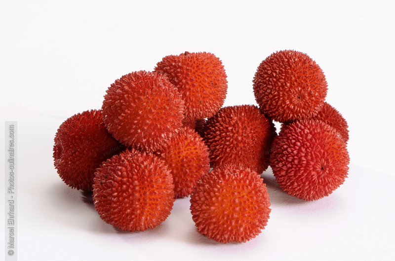Red bayberries - photo r&eacute;f&eacute;rence FRU298N.jpg