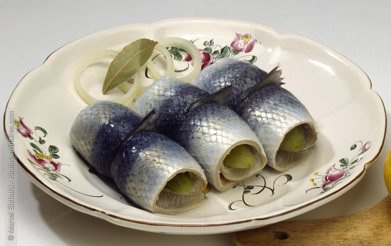 Rollmops - photo r&eacute;f&eacute;rence PO417.jpg