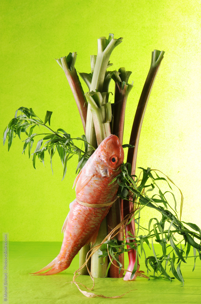 Rouget , estragon et rhubarbe - photo r&eacute;f&eacute;rence PO498N.jpg