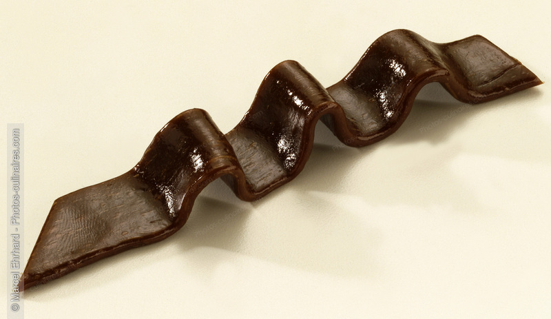 Ruban de caramel - photo r&eacute;f&eacute;rence DE559.jpg