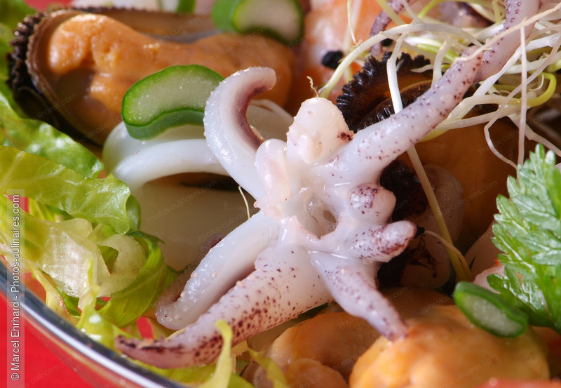 Salade  d'encornets - photo r&eacute;f&eacute;rence PO277N.jpg