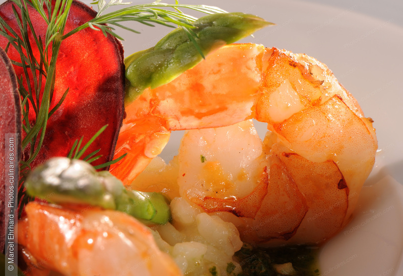 Salade de crevettes - photo r&eacute;f&eacute;rence PO431N.jpg
